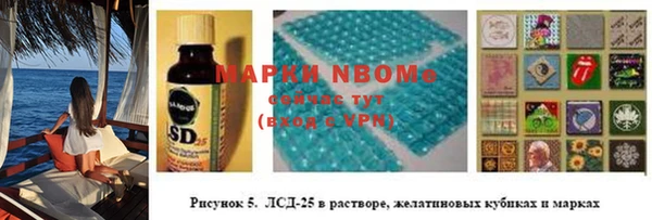 прущие грибы Лагань