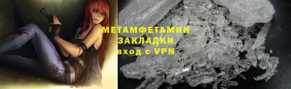прущие грибы Лагань