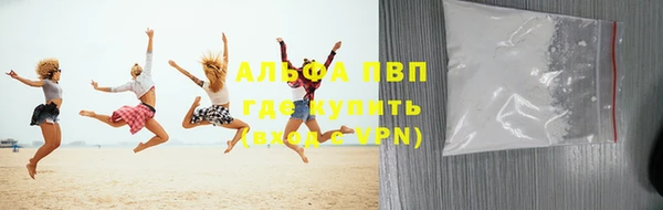 прущие грибы Лагань